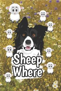 Sheep Where