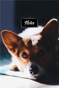 Pembroke Welsh Corgis Dog Pup Puppy Doggie Notebook Bullet Journal Diary Composition Book Notepad - Relax on Floor