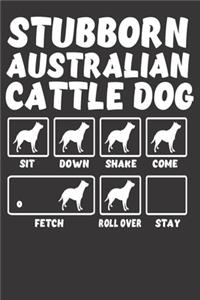 Stubborn Australian Cattle Dog
