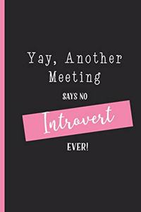 Yay Another Meeting Says No Introvert Ever