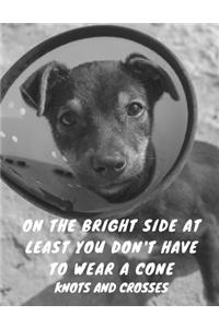 On The Bright Side At Least You Don't Have To Wear A Cone