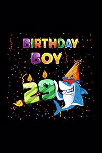 Birthday Boy 29