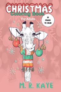 Christmas Coloring Book For Adults