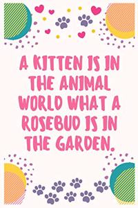 A kitten is in the animal world what a rosebud is in the garden