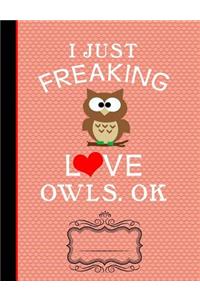 Red Heart Love Owls Composition Notebook I Just Freaking Love Owls Ok