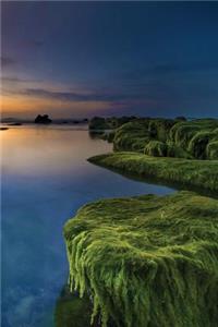 Ocean Moss Journal