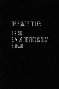 The Three Stages of Life: Adult Humor Journal