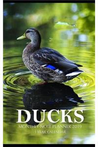 Ducks Monthly Note Planner 2019 1 Year Calendar