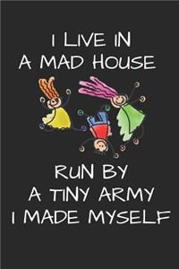 I Live in a Mad House Run by a Tiny Army I Made Myself