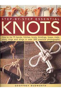 Step-by-step Essential Knots