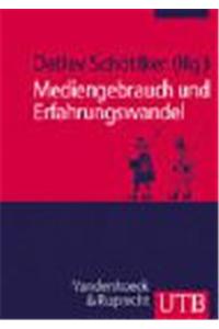 Mediengebrauch Und Erfahrungswandel