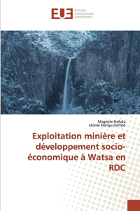 Exploitation minière et développement socio-économique à Watsa en RDC