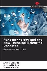 Nanotechnology and the New Technical-Scientific Densities
