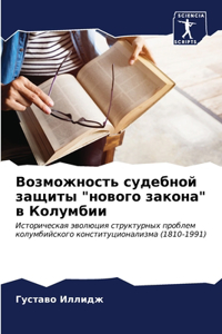 Возможность судебной защиты 