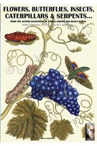 flowers, butterflies, insects, caterpillars & serpents...