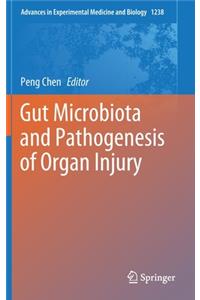 Gut Microbiota and Pathogenesis of Organ Injury