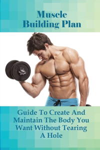 Muscle Building Plan