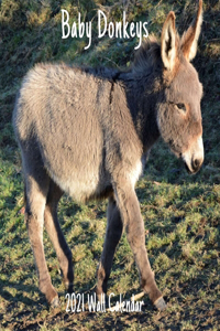 Donkeys 2021 Wall Calendar: Donkeys 2021 Calendar, 18 Months.