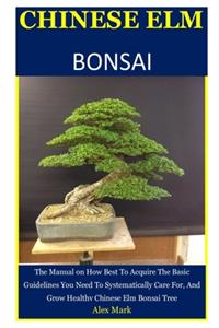 Chinese Elm Bonsai