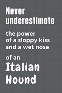 Never underestimate the power of a sloppy kiss and a wet nose of an Italian Hound