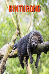 Binturong