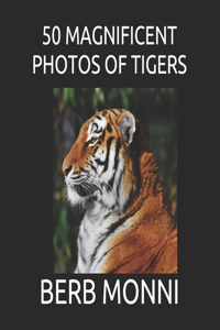 50 Magnificent Photos of Tigers