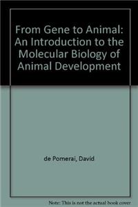From Gene to Animal
