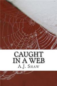 Caught In A Web