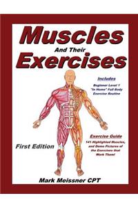 Muscles And Their Exercises