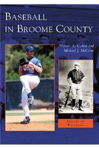 Baseball in Broome County
