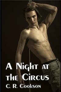 Night at the Circus