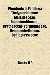 Pteridophyta Families