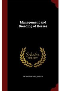 Management and Breeding of Horses