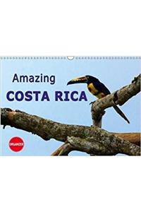 Amazing Costa Rica 2018