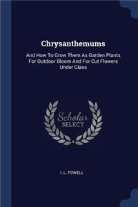 Chrysanthemums