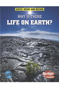 Why Is There Life on Earth?