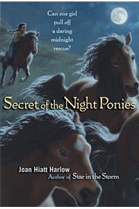 Secret of the Night Ponies