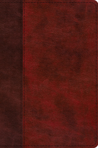 ESV Study Bible (Trutone, Burgundy/Red, Timeless Design, Indexed)