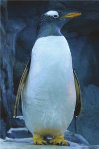 Gentoo Penguin Journal: 150 Page Lined Notebook/Diary