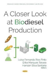 A Closer Look at Biodiesel Production