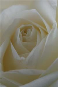 White Rose Flower Journal