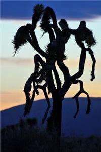 Silhouette of a Joshua Tree at Dusk Journal
