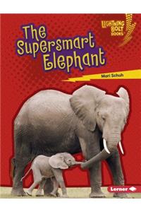 Supersmart Elephant