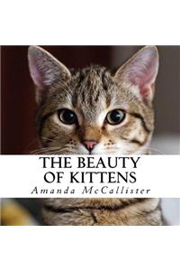 The Beauty of Kittens
