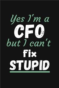 Yes I'm a CFO But I Can't Fix Stupid