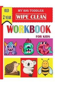 My Big Toddler wipe clean workbook for kids old 2 year