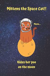 Mittens the Space Cat hides her poo on the moon