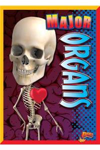 Major Organs