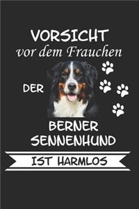 Vorsicht vor dem Frauchen der Berner Sennenhund ist Harmlos