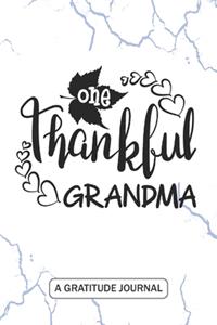 One Thankful Grandma - A Gratitude Journal